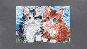 Whimsical Kittens - Latch Hook Rug Kit