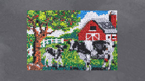 Rustic Farm Scene - Latch Hook Rug Kit