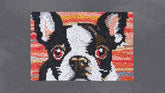 Charming Pup in Colors - Latch Hook Rug Kit