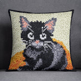 Charming Black Cat - Latch Hook Pillow Kit