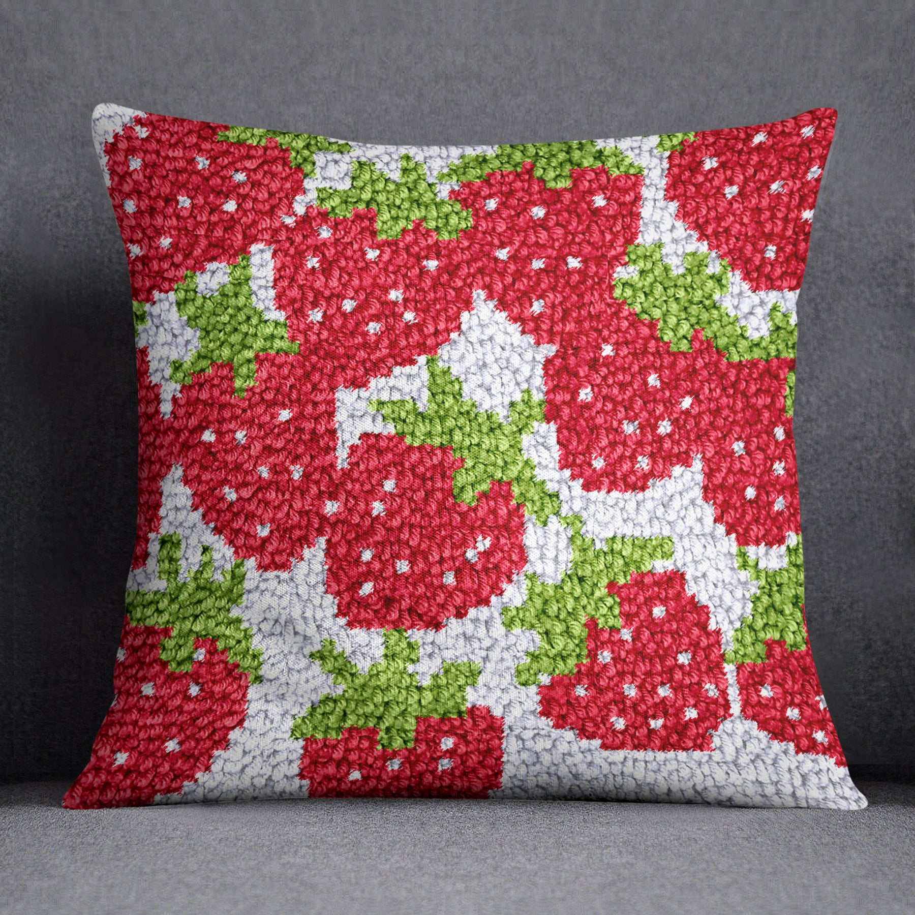 Berry Delight: Strawberry Pattern - Latch Hook Pillow Kit