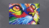 Colorful Cat's Gaze - Latch Hook Rug Kit