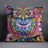 Vibrant Owl Delight - Latch Hook Pillow Kit