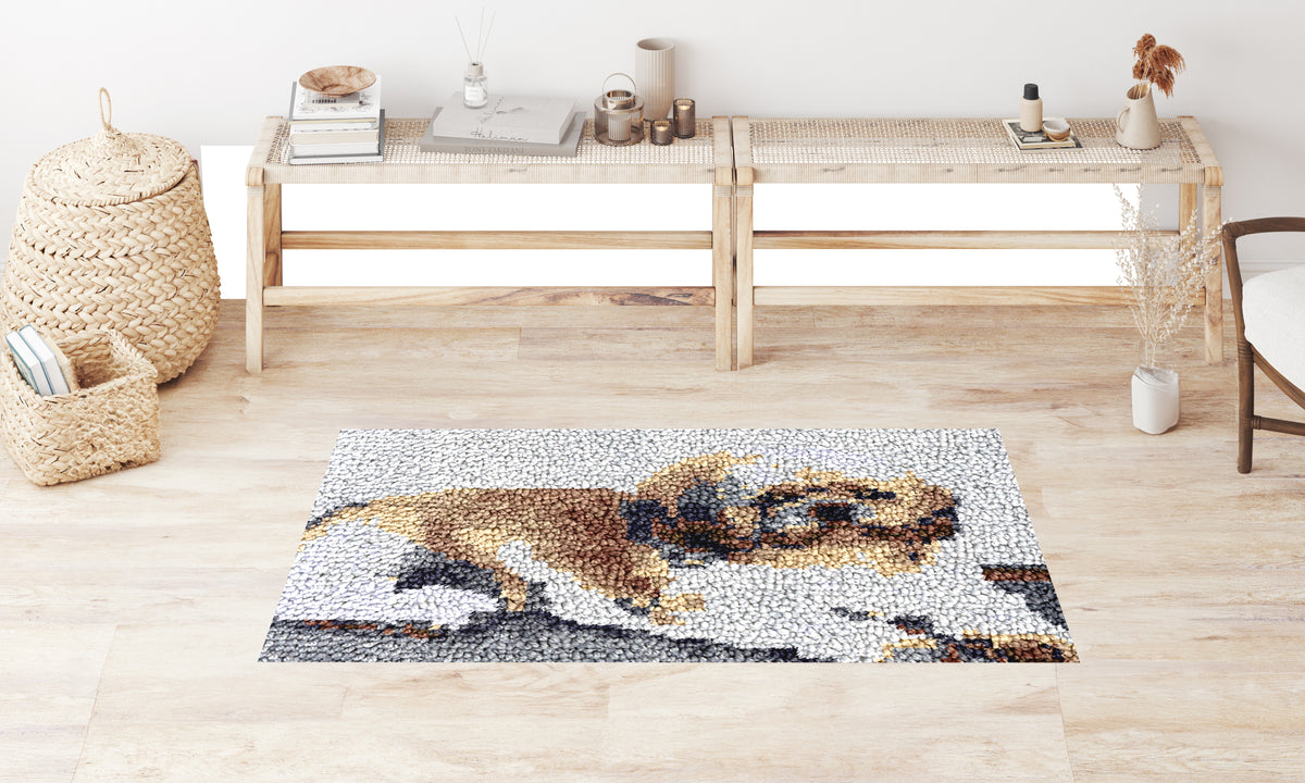 Cozy Companion - Latch Hook Rug Kit